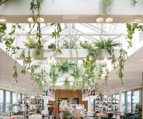 Zoku 4*