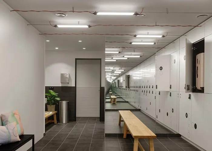 Zoku